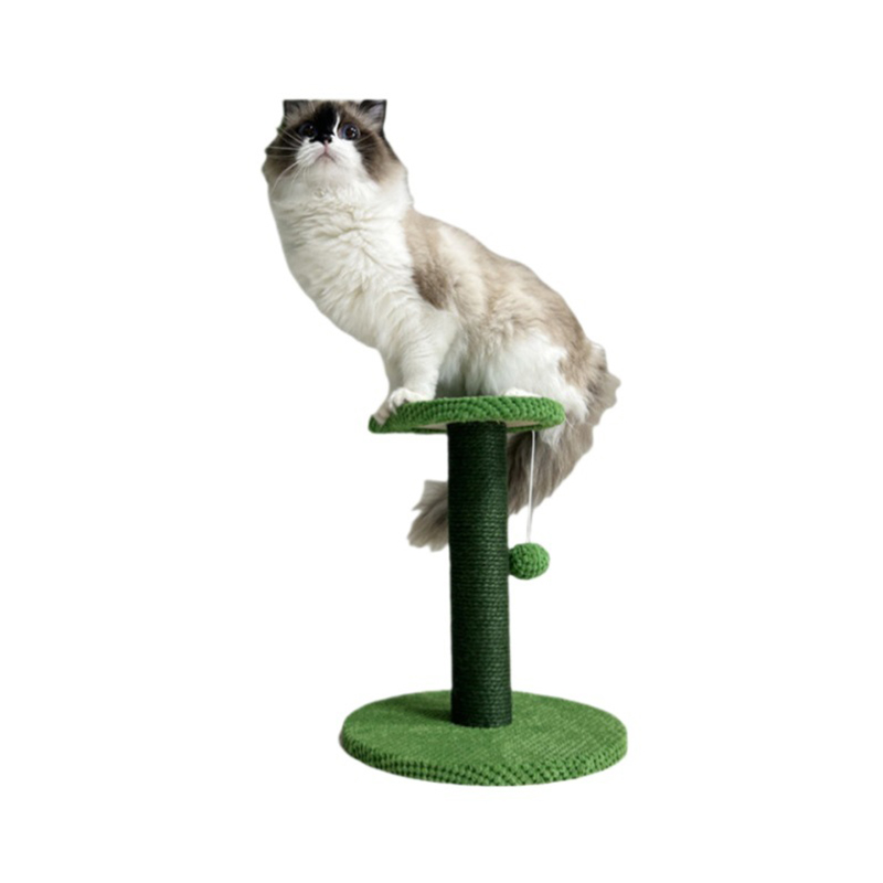 Klätterplattform för katt i trä